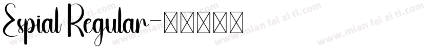 Espial Regular字体转换